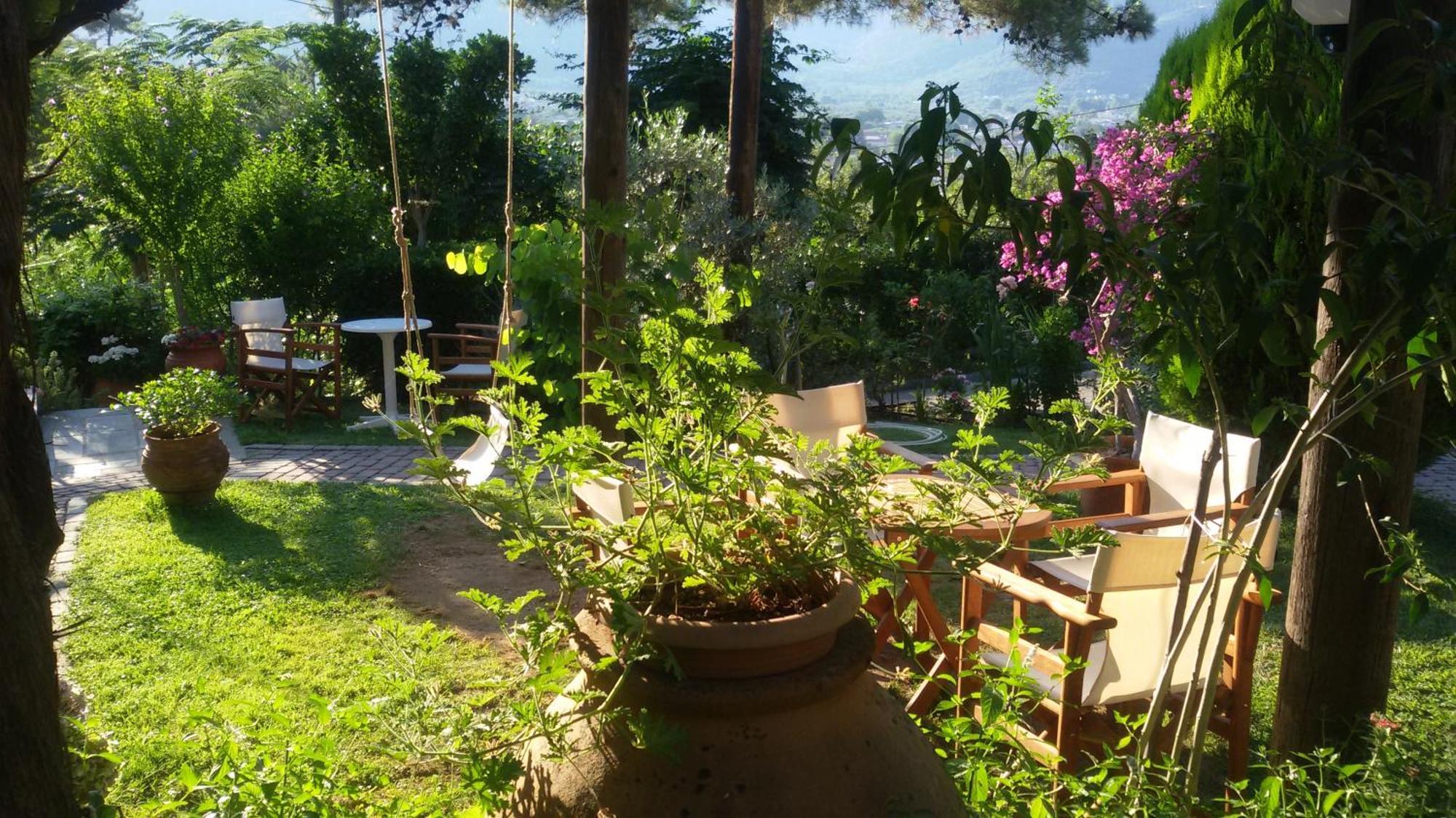 Villa Dimitra Скала-Потамиас Экстерьер фото