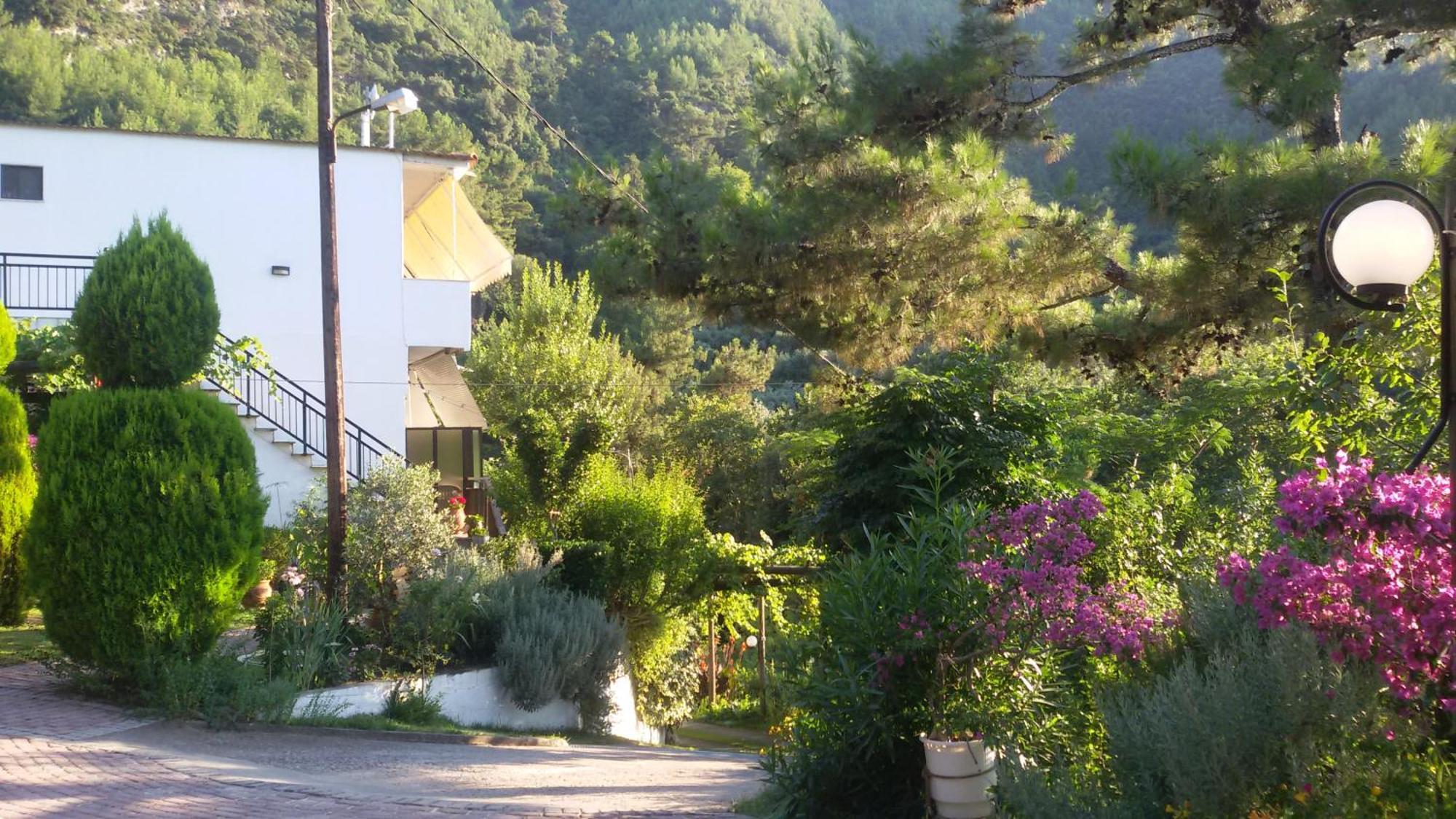 Villa Dimitra Скала-Потамиас Экстерьер фото