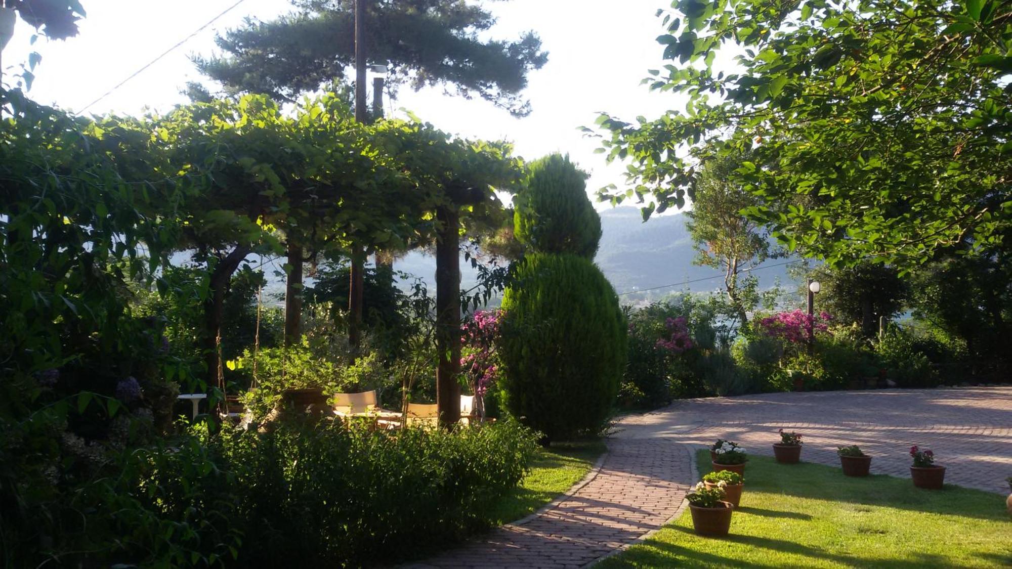 Villa Dimitra Скала-Потамиас Экстерьер фото